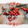 Productafbeelding Gods beloften aan jou