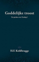 Productafbeelding Goddelijke troost