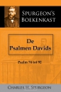 Productafbeelding De Psalmen Davids 3