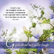 Productafbeelding Kaart gefeliciteerd met jullie kindje