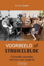 Productafbeelding Voorbeeld of struikelblok