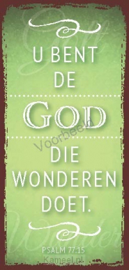 Productafbeelding U bent de God die wonderen doet